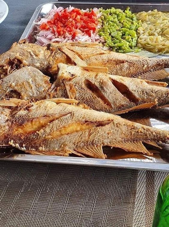 441225415_964700788998201_5795131769013995577_n